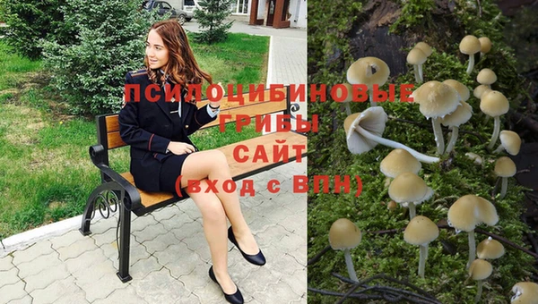 бошки Алзамай