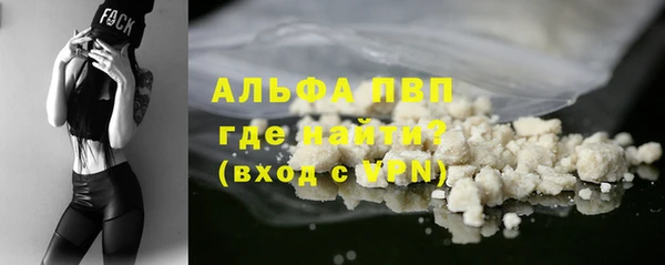 индика Арсеньев