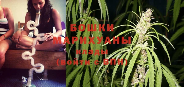 PSILOCYBIN Тихорецк