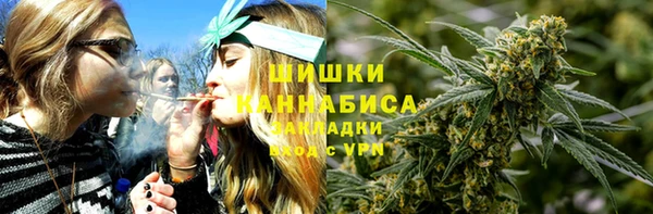 амф Аркадак