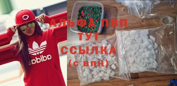 индика Арсеньев