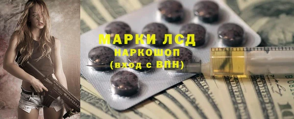 индика Арсеньев